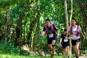 BIB: 
                            <button type="button" onclick="openModal(19435554)" class="btn btn-primary btn-sm float-right btn-popup" data-toggle="modal" data-target=".modal-high-quality">
                        <i class="fas fa-shopping-cart"></i> Add to Cart
                    </button>
                                            <button type="button" onclick="isThisMe(19435554, true)" class="btn btn-success btn-sm float-right btn-popup btn-isme hidden" data-toggle="tooltip" data-placement="bottom" title="นี่คือรูปของคุณใช่ไหม คลิกที่นี่เพื่อเอาเข้าอัลบั้ม">
                        <i class="fas fa-plus"></i> Add to album
                    </button>
                    <button type="button" onclick="isThisMe(19435554, false)" class="btn btn-warning btn-sm float-right btn-popup btn-isnotme hidden">
                        <i class="fas fa-ban"></i> Remove from album
                    </button>